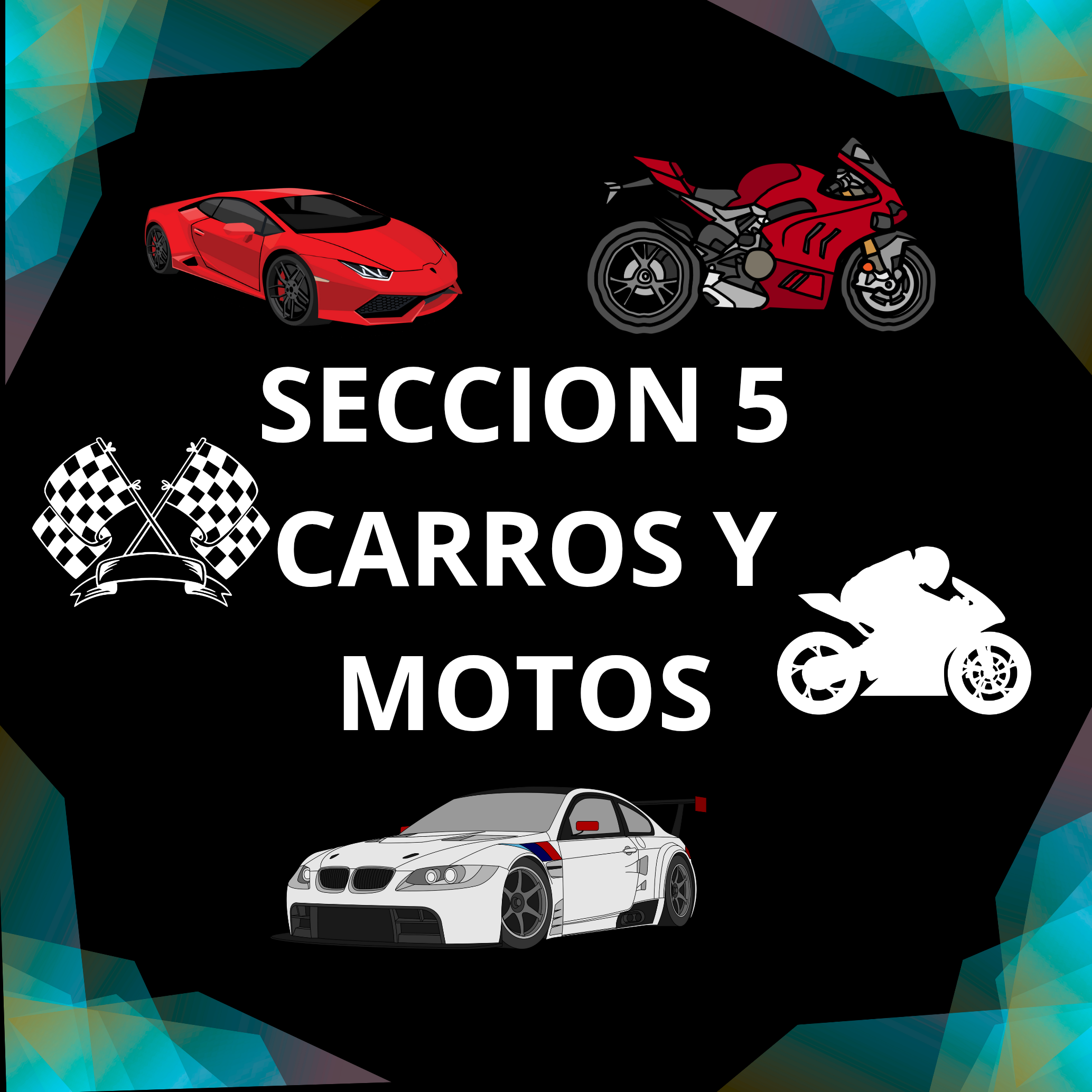 Seccion 5: Carros y motos
