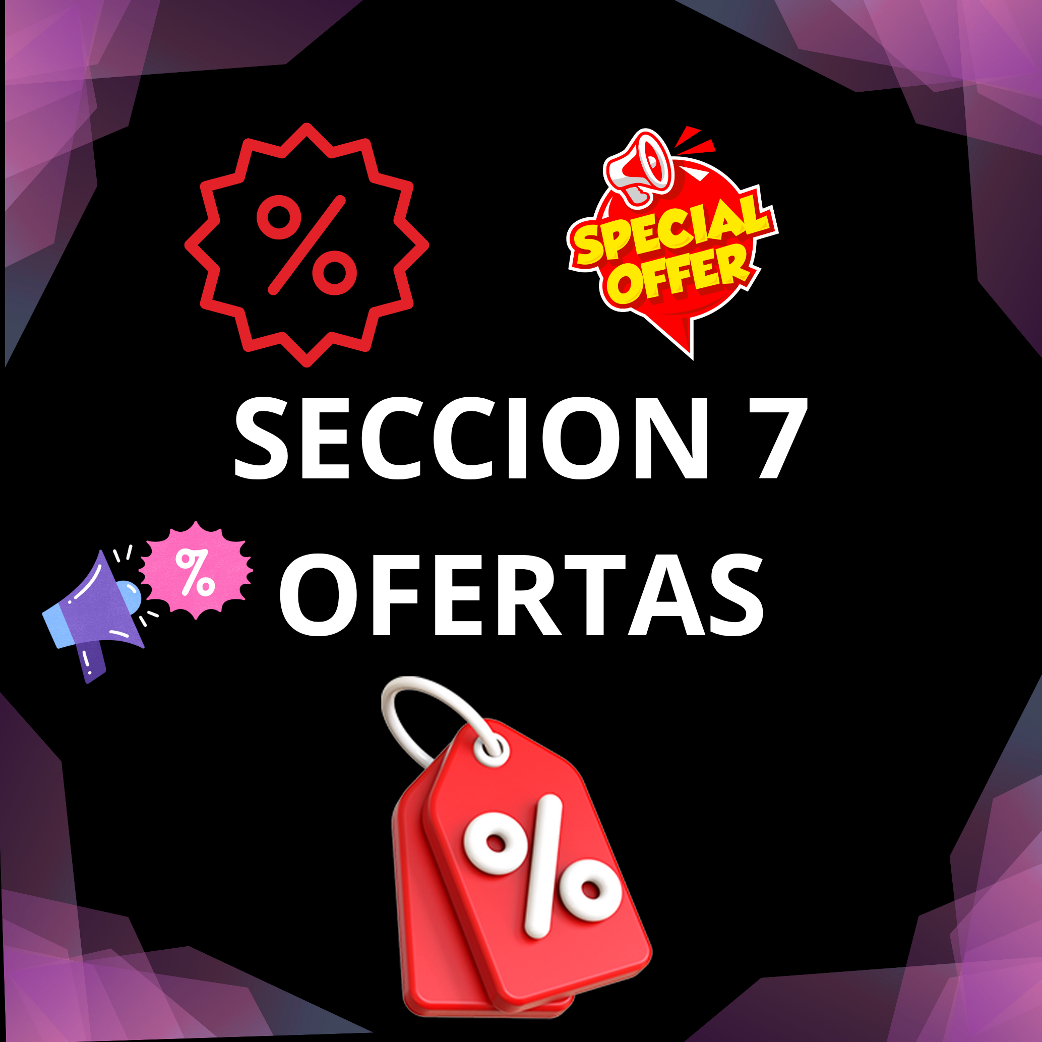 Seccion 7: Ofertas