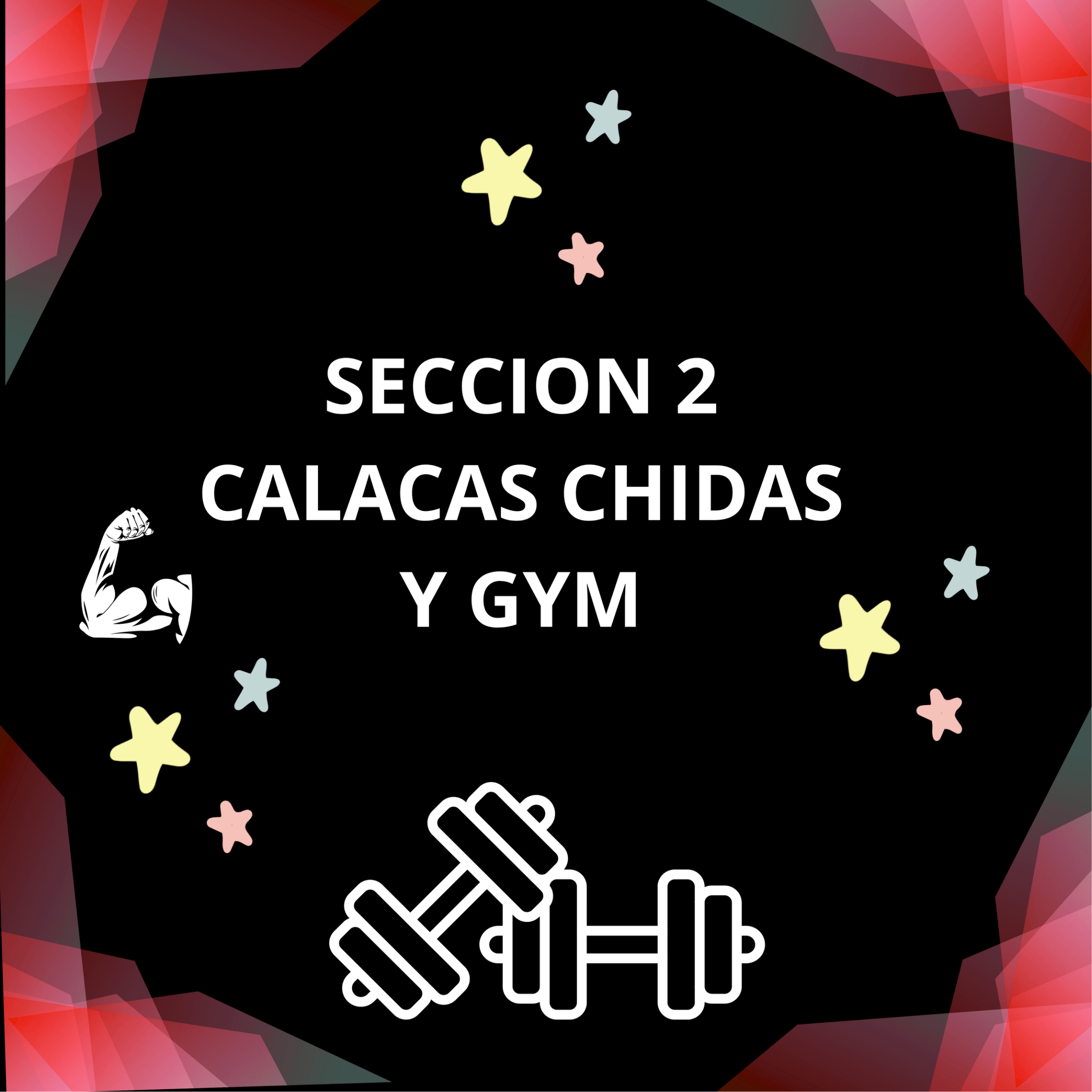 SECCION 2: GYM